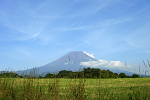 高原からの富士山