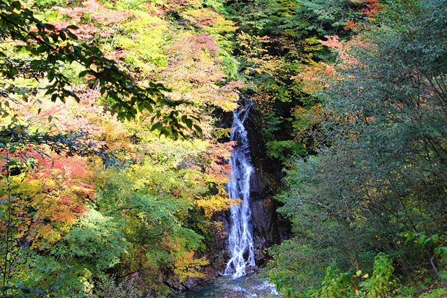 秩父多摩甲斐国立公園・西沢渓谷・七ツ釜五段の滝