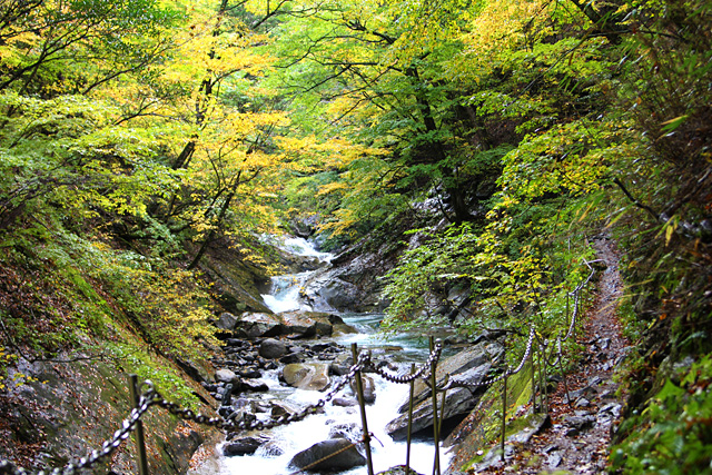 秩父多摩甲斐国立公園・西沢渓谷・七ツ釜五段の滝