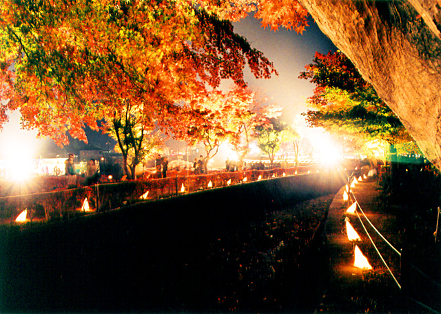 富士河口湖紅葉祭り（河口湖半）